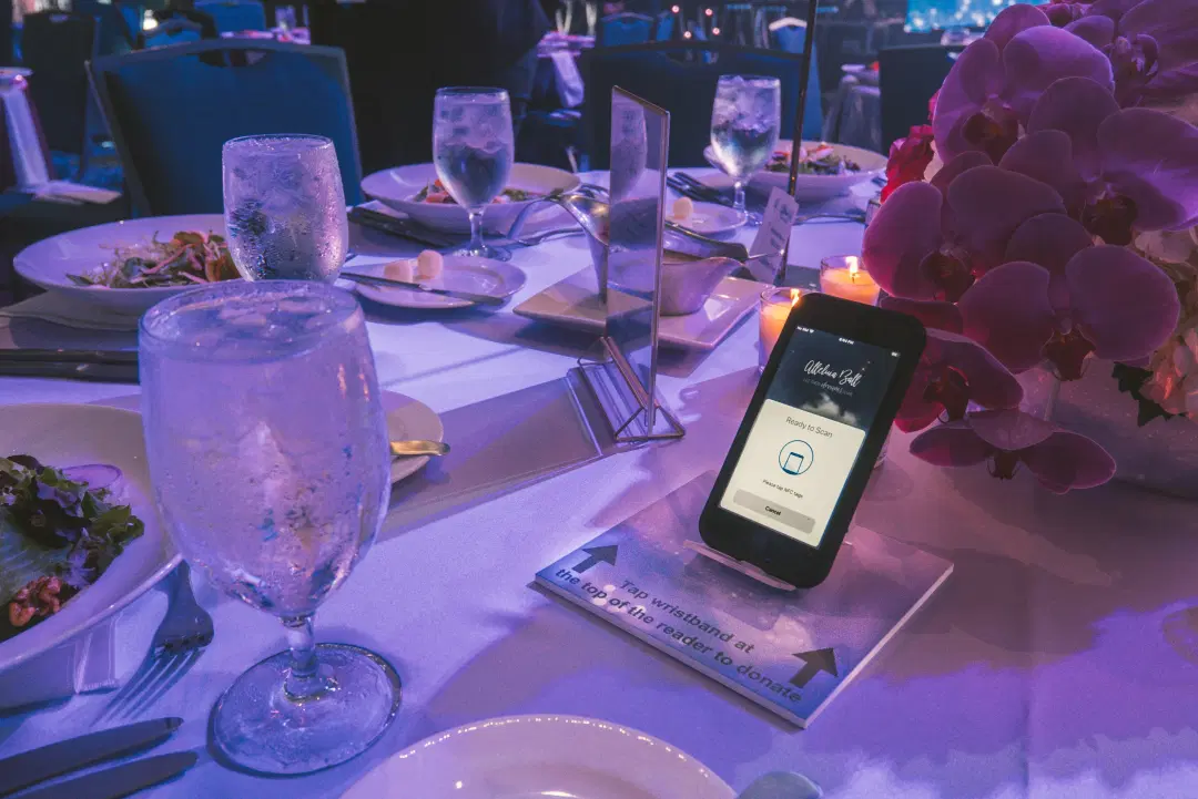 Alleluia Ball Gala Experience — Alleluia Ball case study